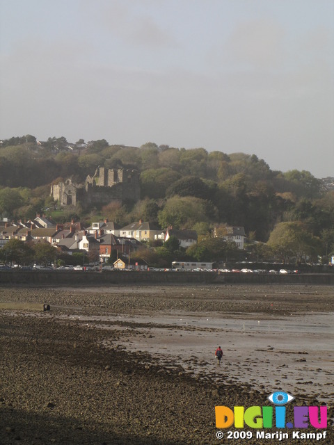 SX09955 Oystermouth Castle from Verdi's on Knab Rock